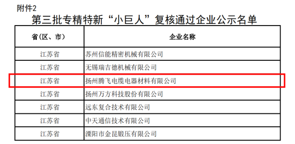 喜訊！揚(yáng)州騰飛成功通過(guò)國(guó)家級(jí)專精特新“小巨人”企業(yè)復(fù)核